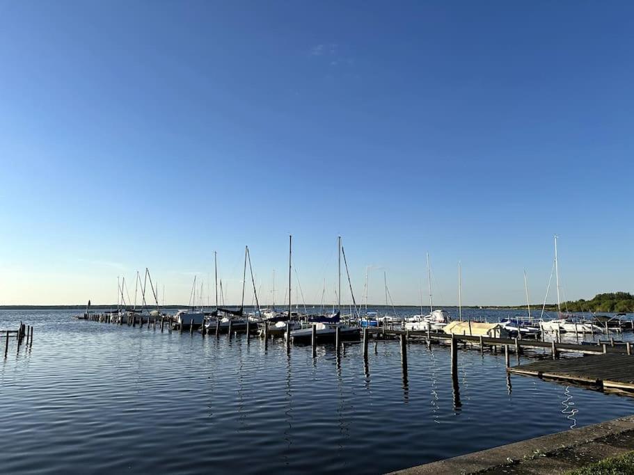 Meer Heimat Am Steinhuder Meer 분스토트 외부 사진